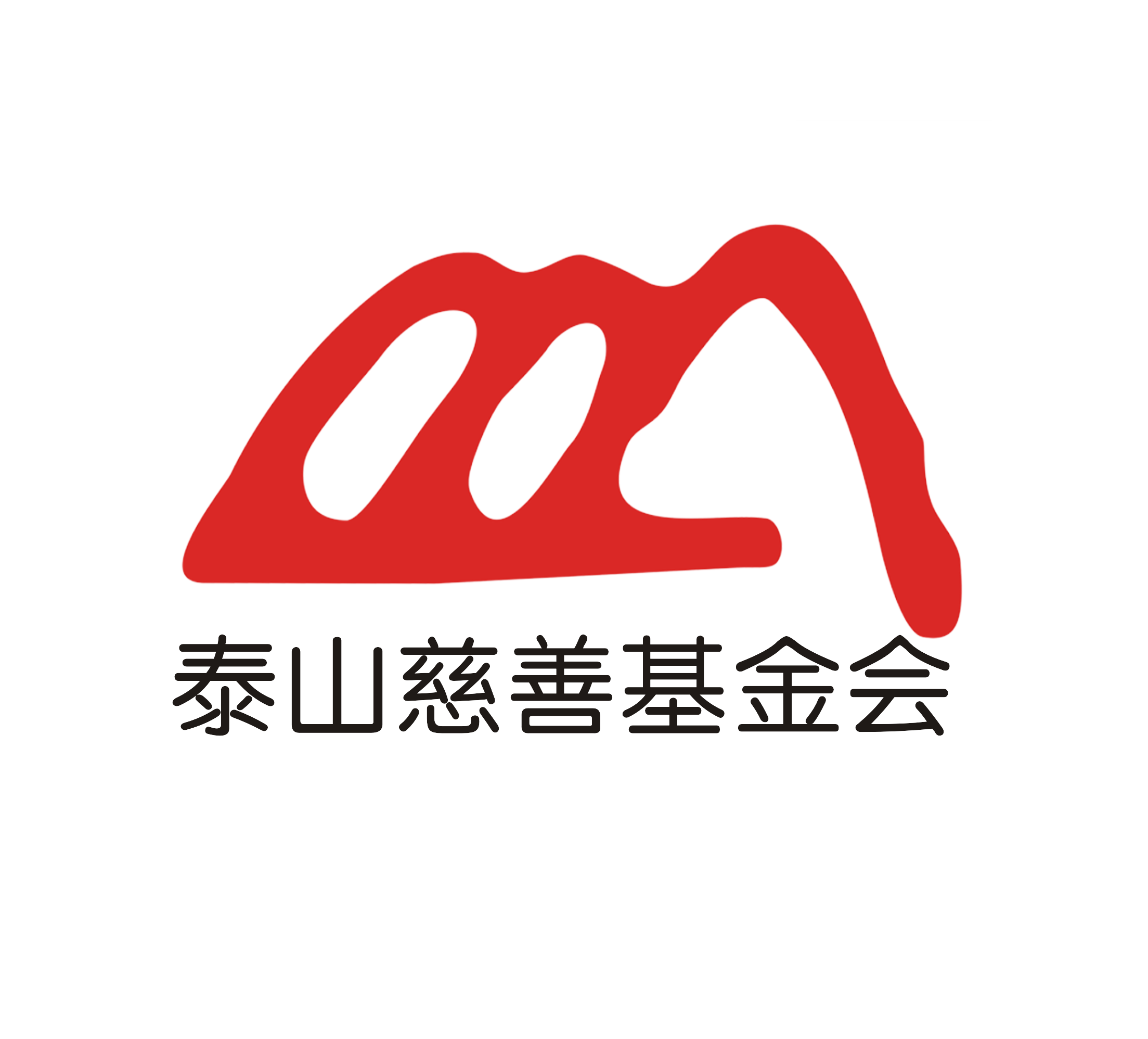 泰山慈善基金会2024年工作报告