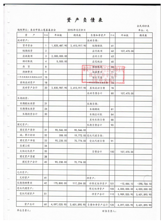 泰山慈善基金会2015年度审计报告(图6)