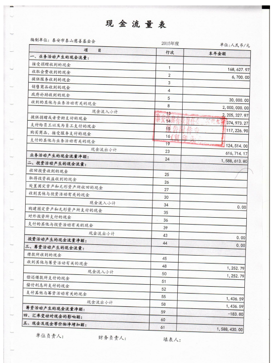 泰山慈善基金会2015年度审计报告(图8)