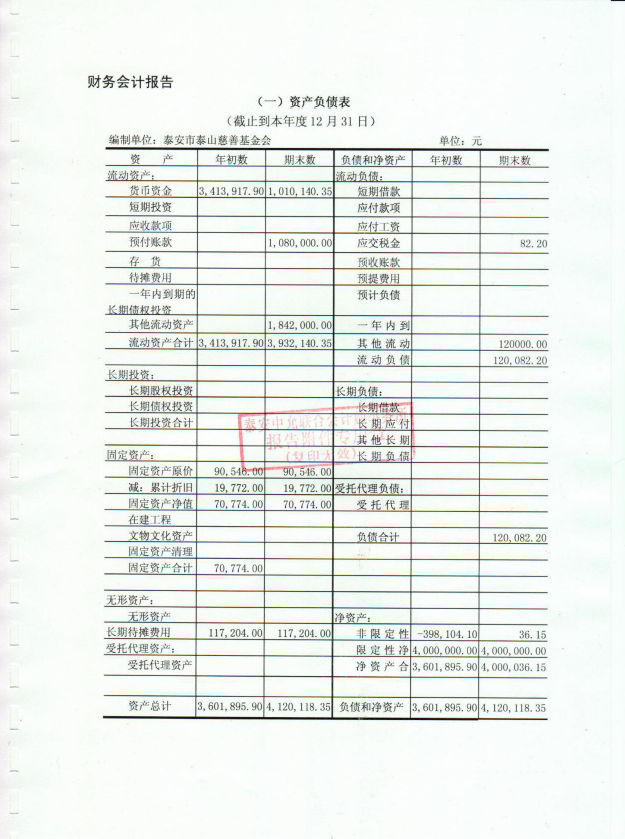 泰山慈善基金会2016年度审计报告(图4)