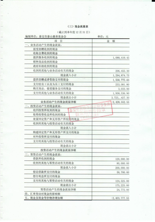 泰山慈善基金会2016年度审计报告(图6)