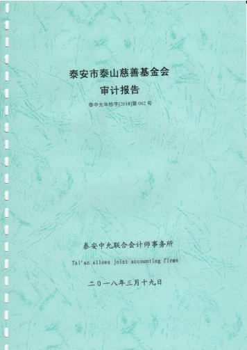 泰山慈善基金会2017年度审计报告