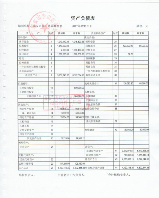 泰山慈善基金会2017年度审计报告(图4)