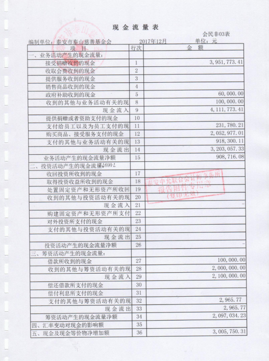 泰山慈善基金会2017年度审计报告(图6)