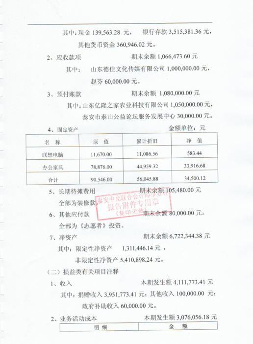 泰山慈善基金会2017年度审计报告(图9)