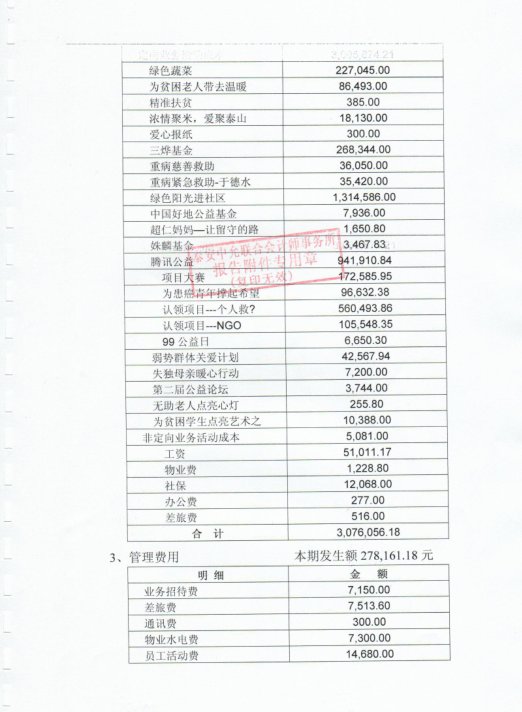 泰山慈善基金会2017年度审计报告(图10)