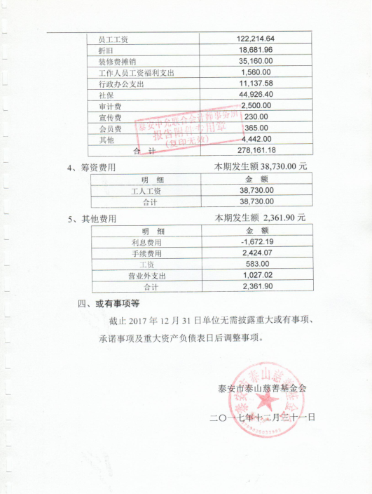 泰山慈善基金会2017年度审计报告(图11)