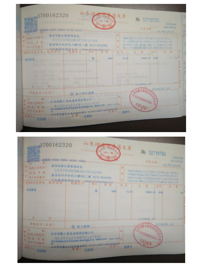 绿色蔬菜看的见的爱项目2017年度总结报告(图6)