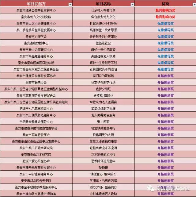 “大爱公益 星耀泰山”首届公益慈善项目大赛(图4)