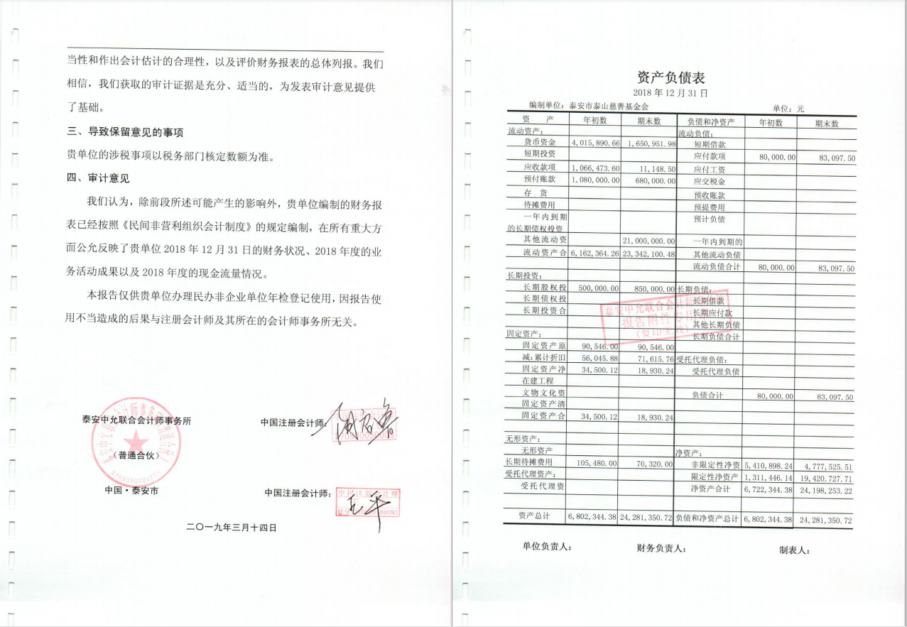 泰山慈善基金会2018年度审计报告(图2)