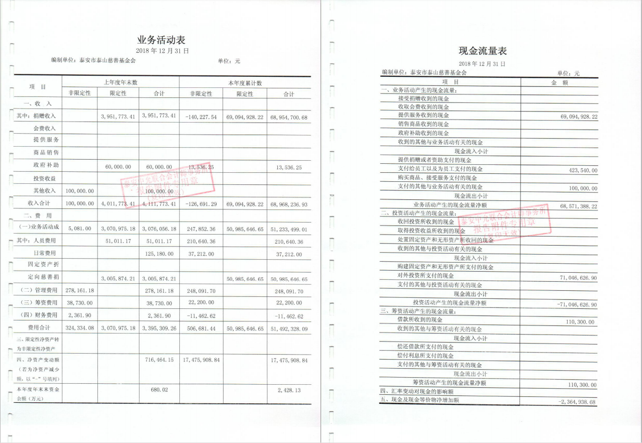 泰山慈善基金会2018年度审计报告(图3)