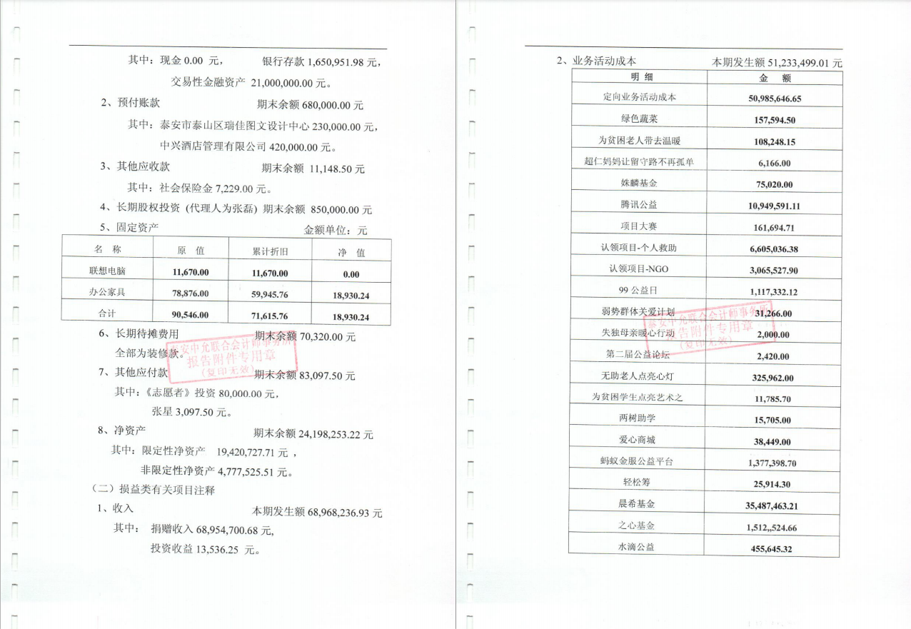 泰山慈善基金会2018年度审计报告(图5)