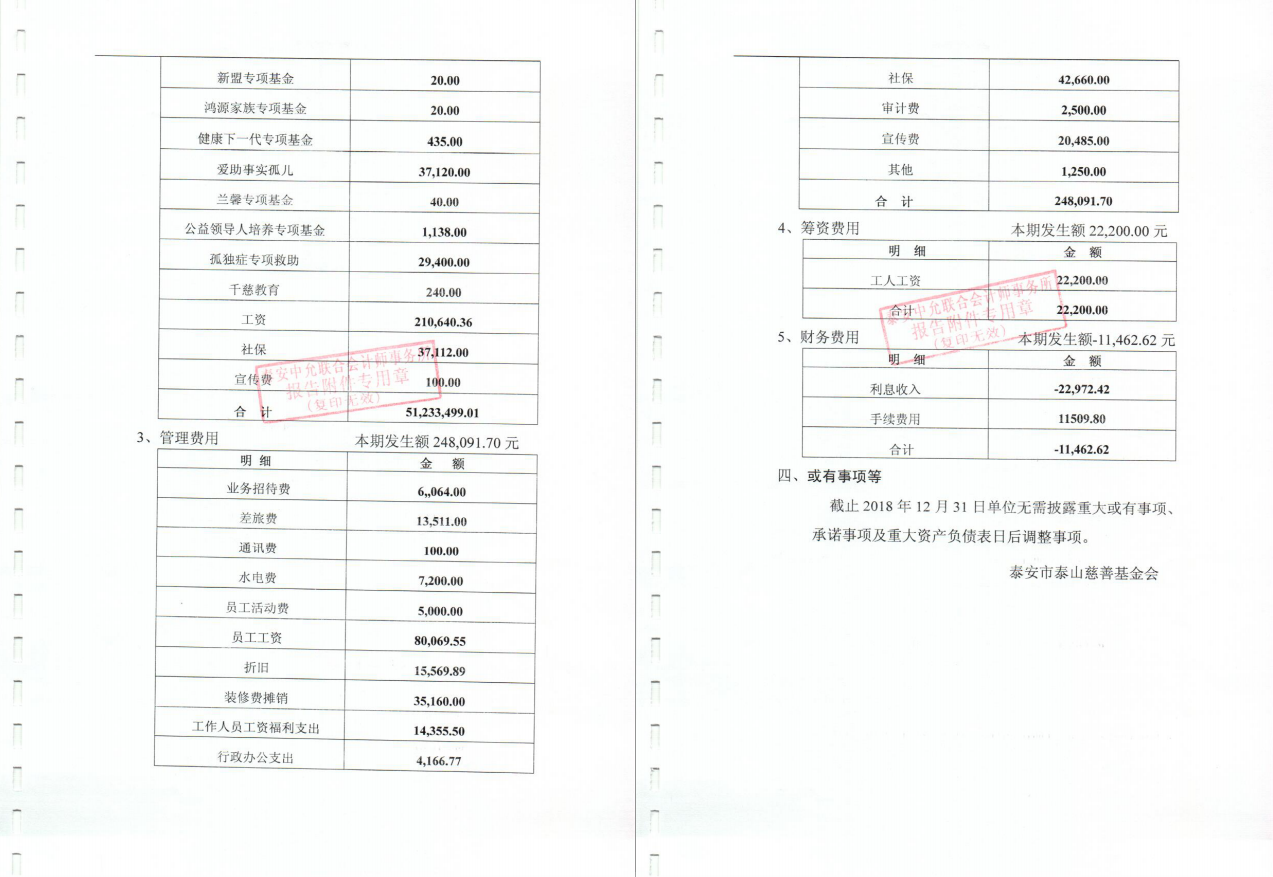 泰山慈善基金会2018年度审计报告(图6)