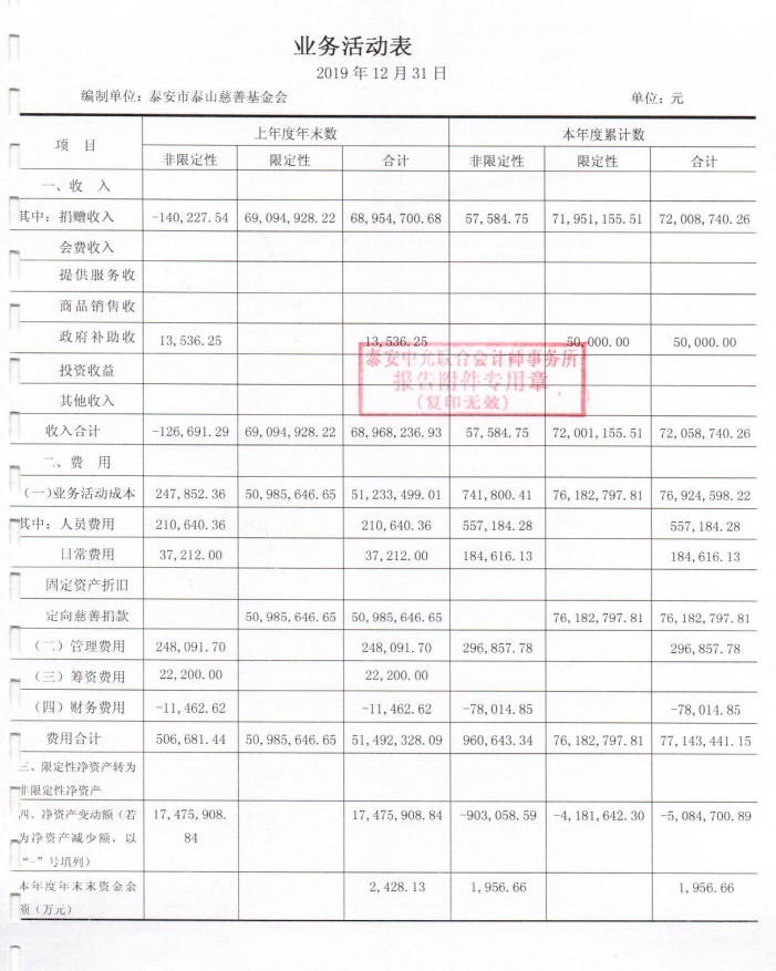 泰山慈善基金会2019年度审计报告(图6)