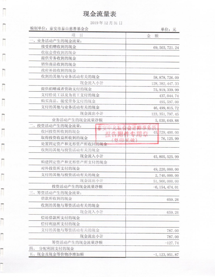 泰山慈善基金会2019年度审计报告(图7)