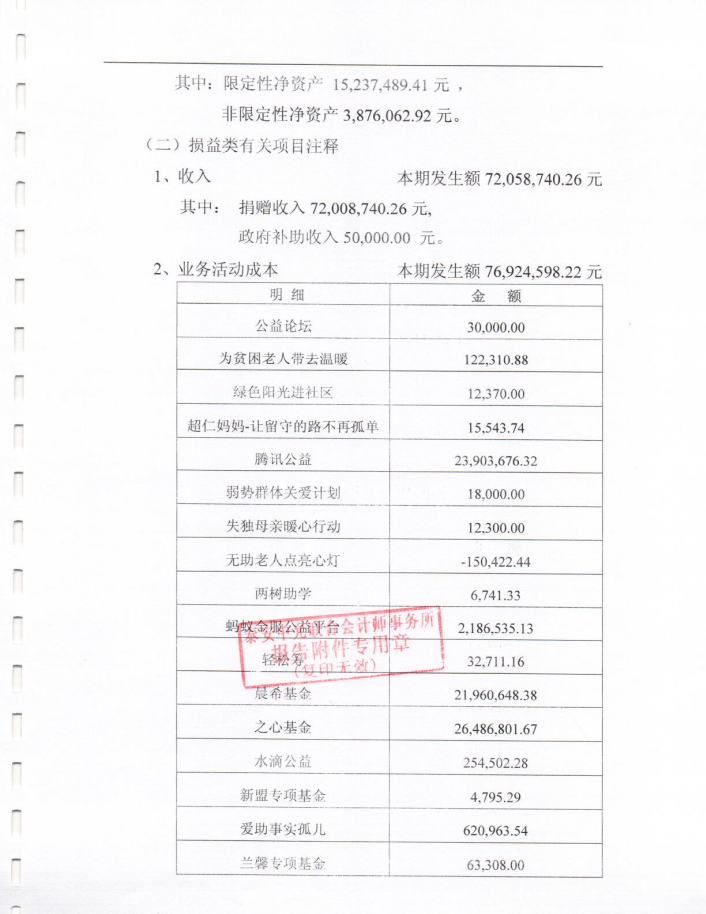 泰山慈善基金会2019年度审计报告(图11)