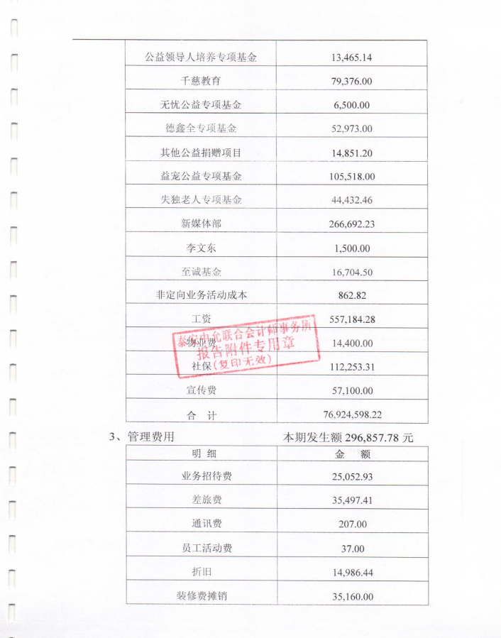 泰山慈善基金会2019年度审计报告(图12)