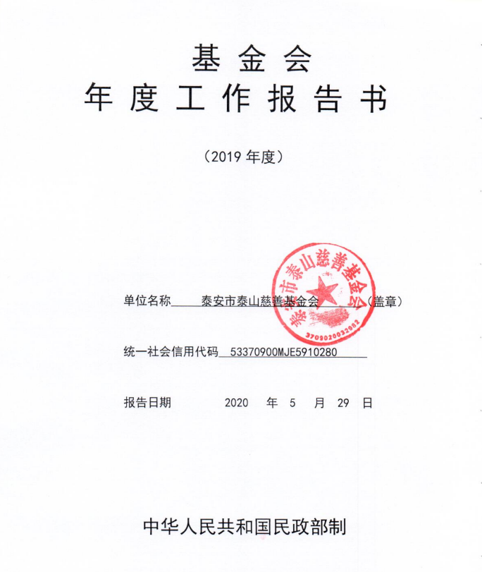 2019年泰山慈善基金会年度检查报告(图1)