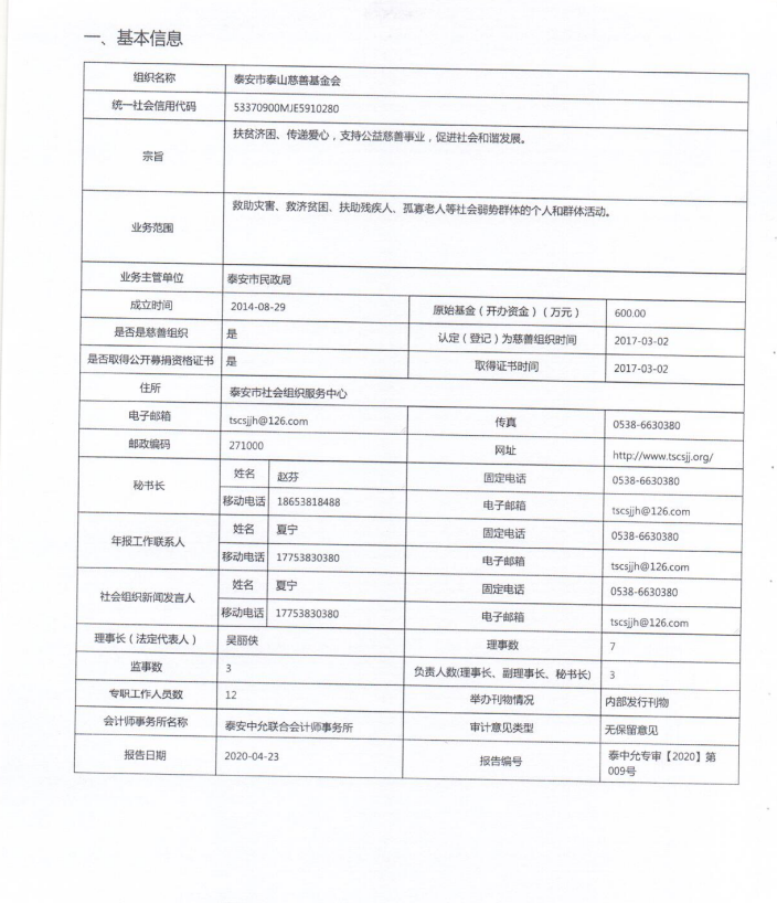 2019年泰山慈善基金会年度检查报告(图3)
