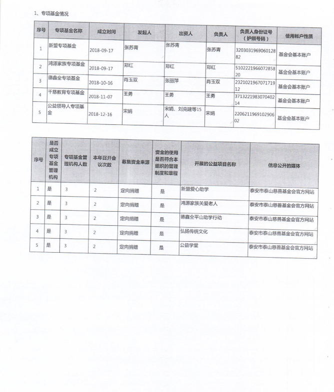 2019年泰山慈善基金会年度检查报告(图14)