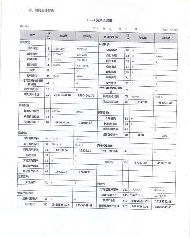 2019年泰山慈善基金会年度检查报告(图34)
