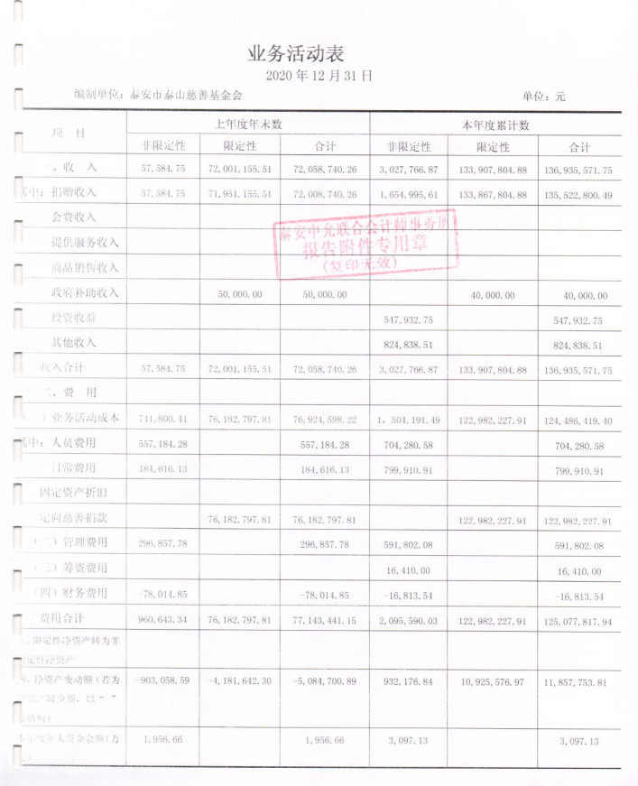 泰山慈善基金会2020年度审计报告(图6)