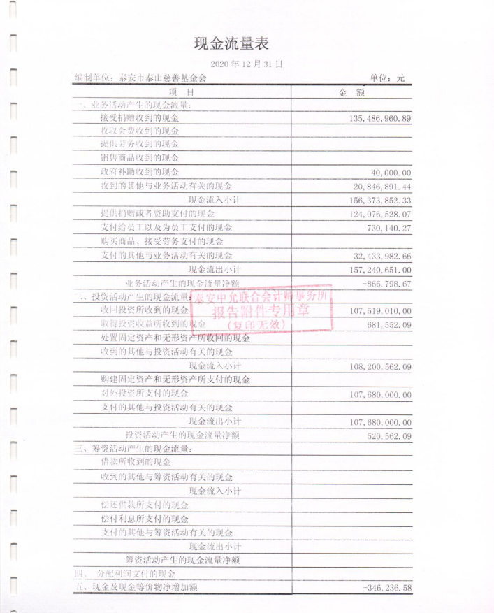 泰山慈善基金会2020年度审计报告(图7)