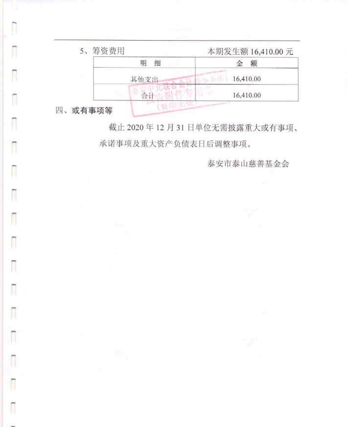 泰山慈善基金会2020年度审计报告(图14)