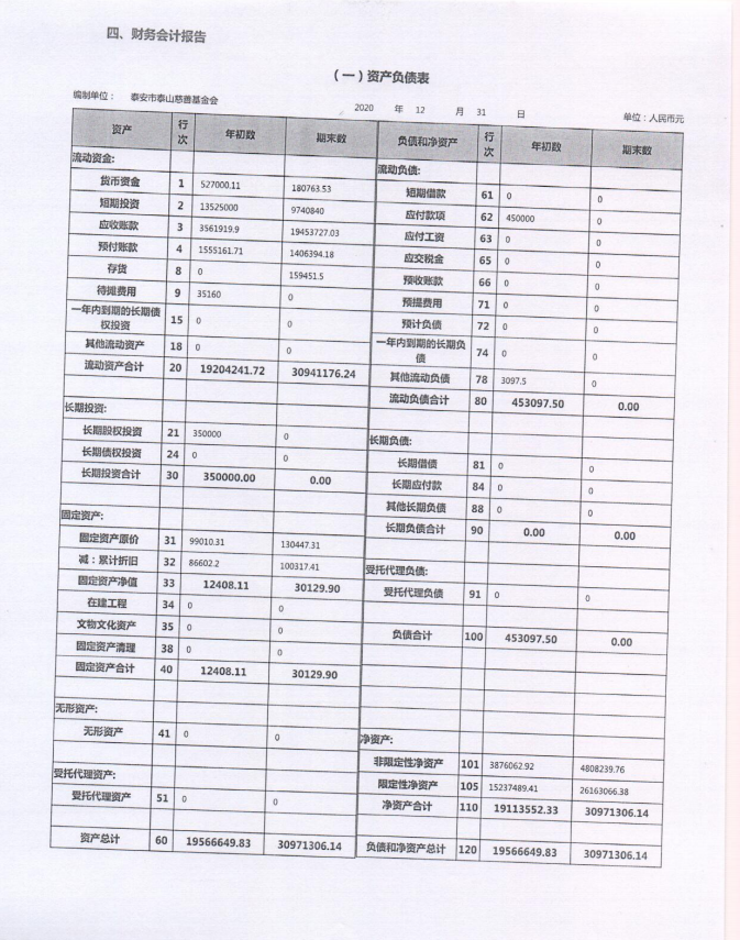 泰山慈善基金会2020年度工作报告(图28)