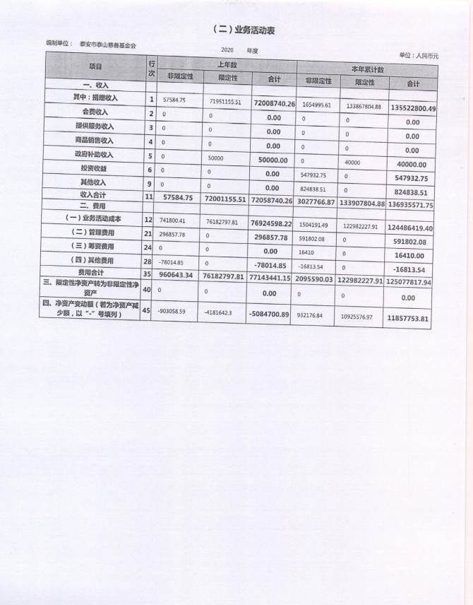 泰山慈善基金会2020年度工作报告(图29)