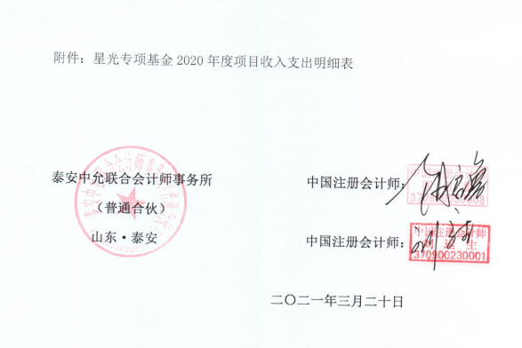 泰山慈善基金会星光专项基金审计报告(图5)