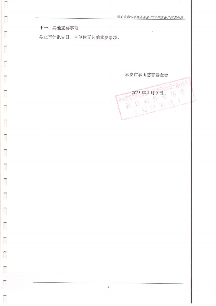 泰山慈善基金会2022年度财务报表审计报告(图17)