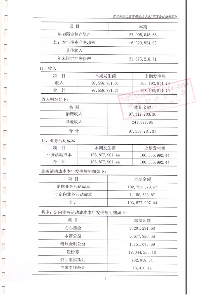 泰山慈善基金会2022年度财务报表审计报告(图14)