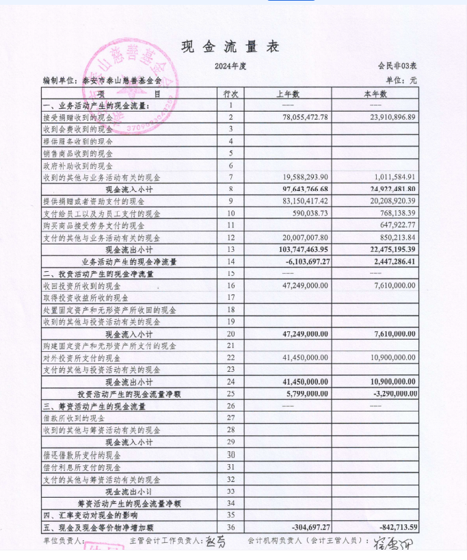 泰山慈善基金会2024年审计报告(图6)