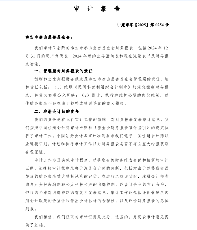 泰山慈善基金会2024年审计报告(图2)