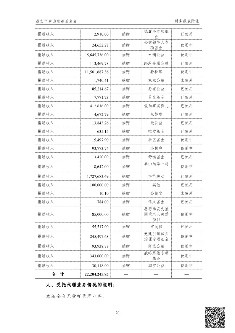 泰山慈善基金会2024年审计报告(图21)
