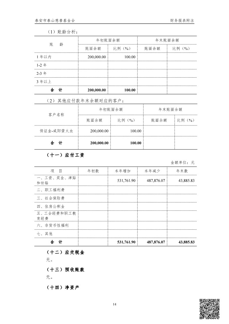 泰山慈善基金会2024年审计报告(图15)