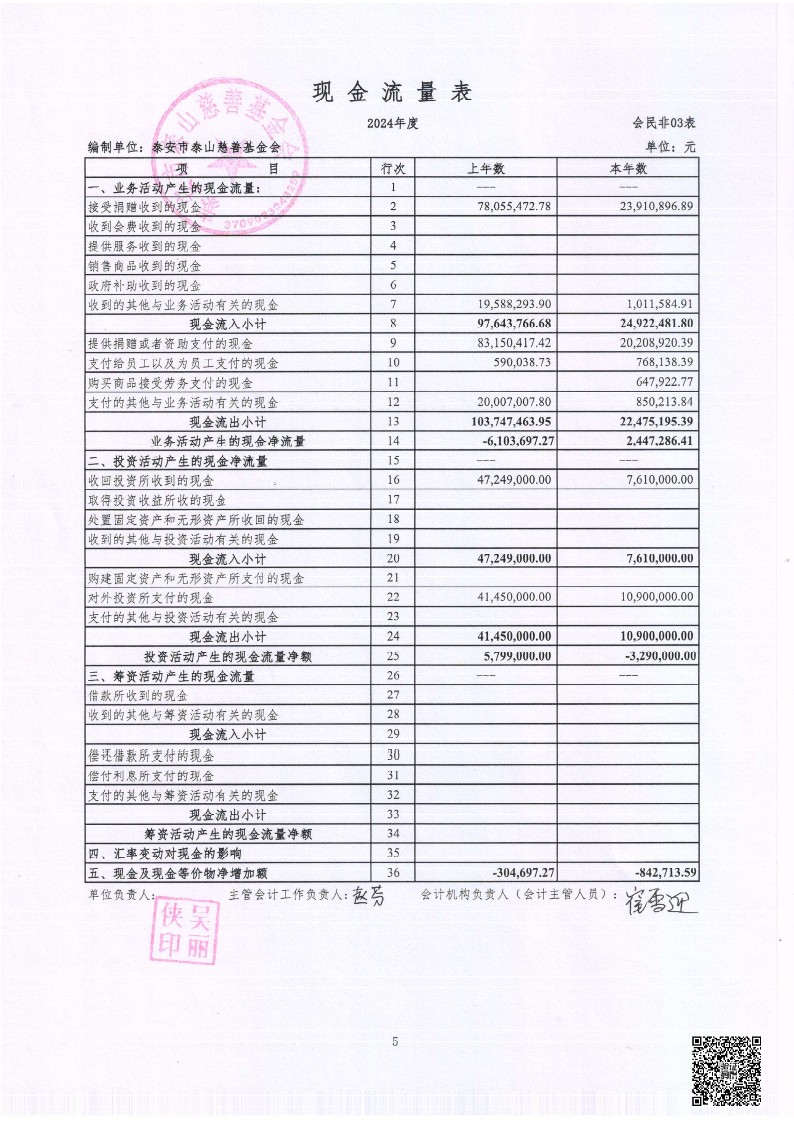 泰山慈善基金会2024年审计报告(图6)
