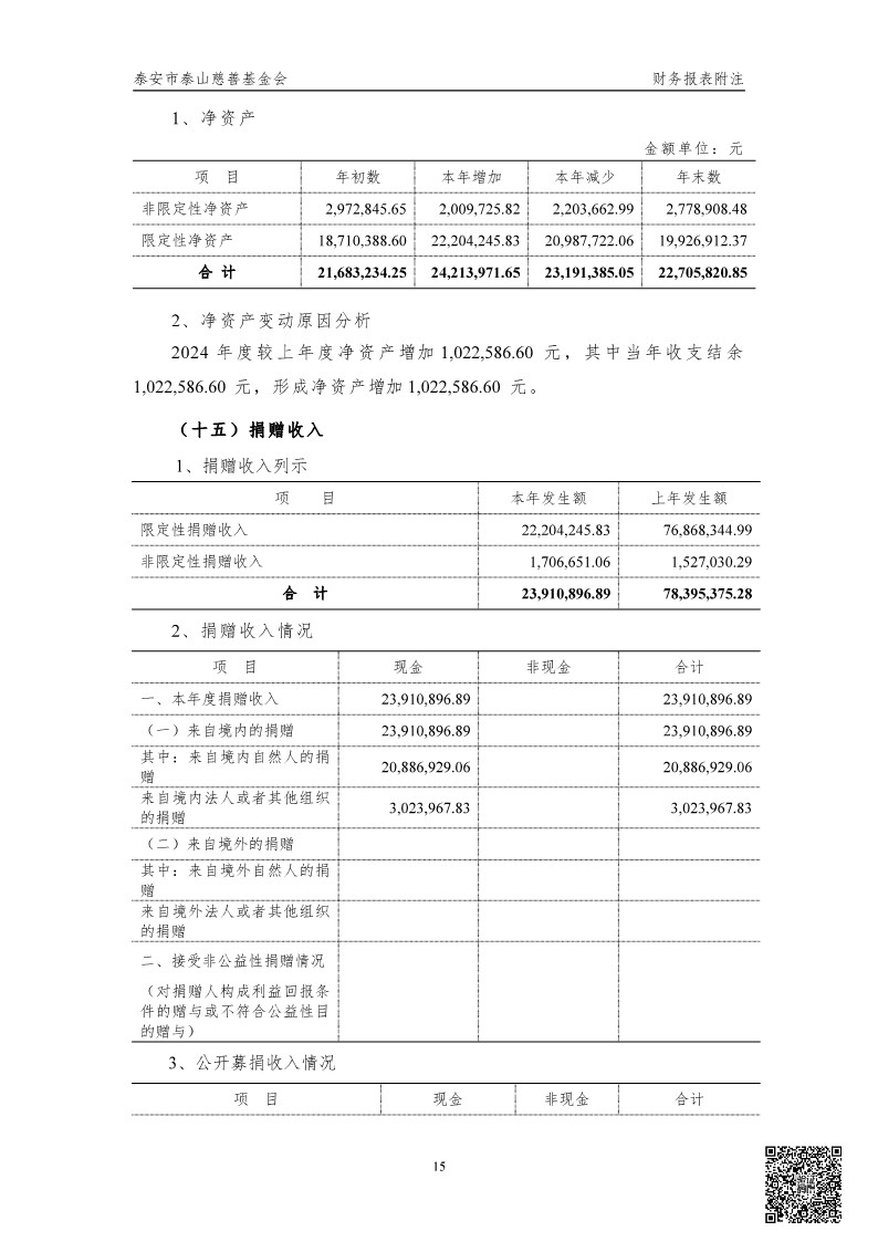 泰山慈善基金会2024年审计报告(图16)