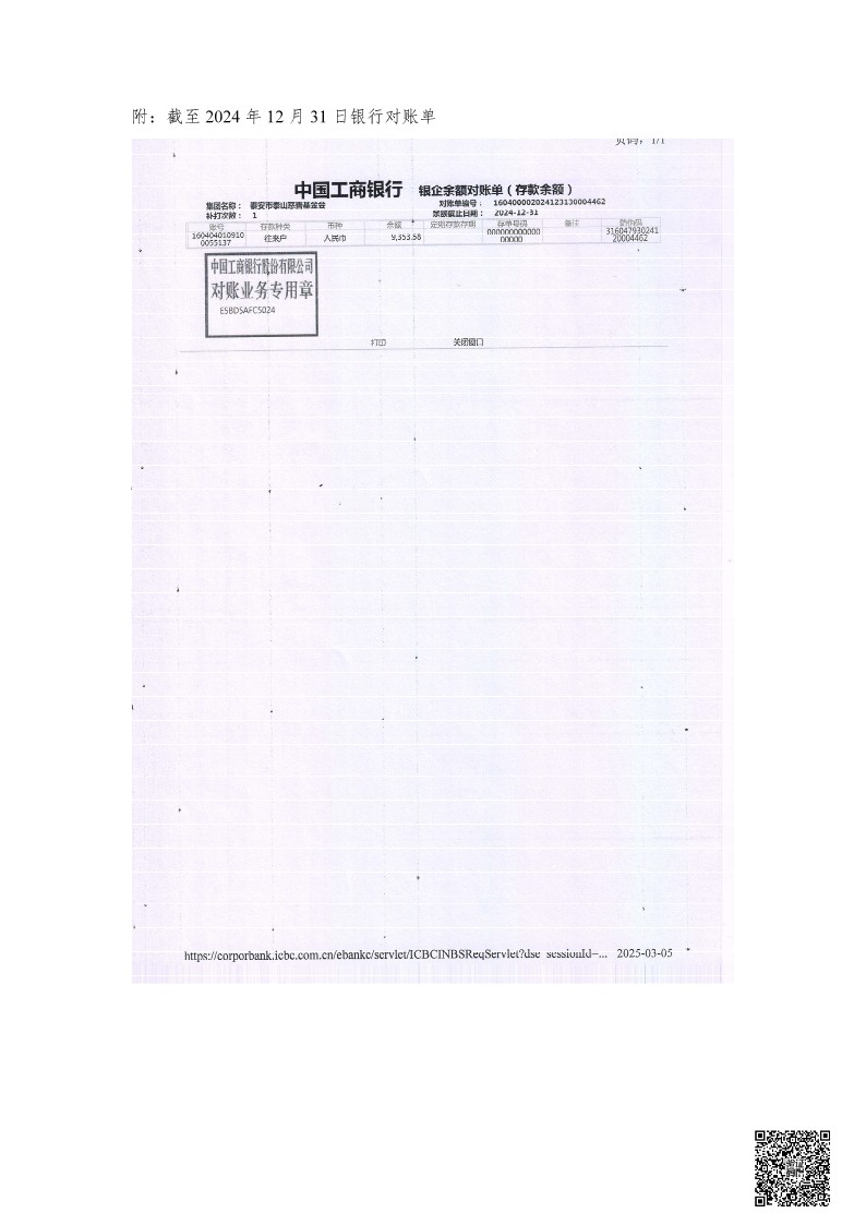 泰山慈善基金会2024年审计报告(图23)