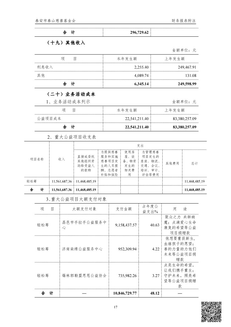 泰山慈善基金会2024年审计报告(图18)