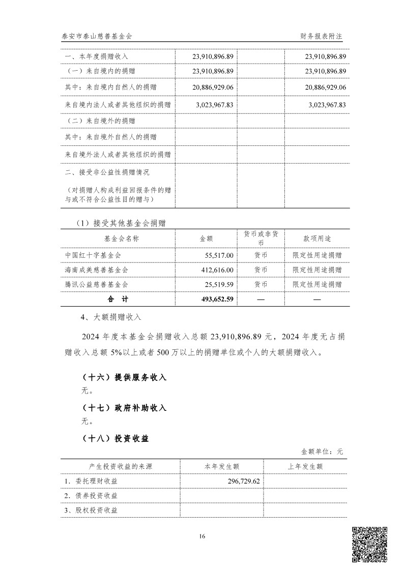 泰山慈善基金会2024年审计报告(图17)