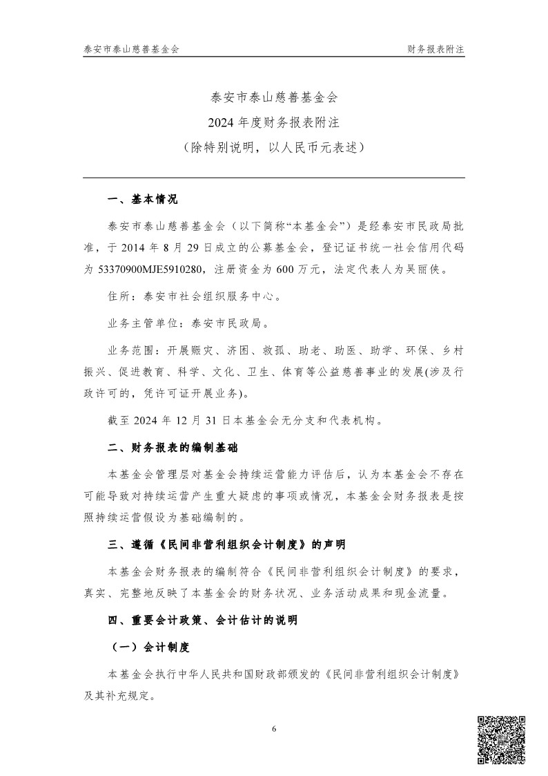 泰山慈善基金会2024年审计报告(图7)