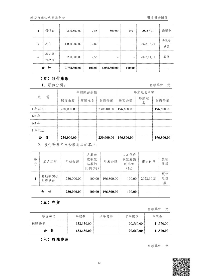 泰山慈善基金会2024年审计报告(图13)