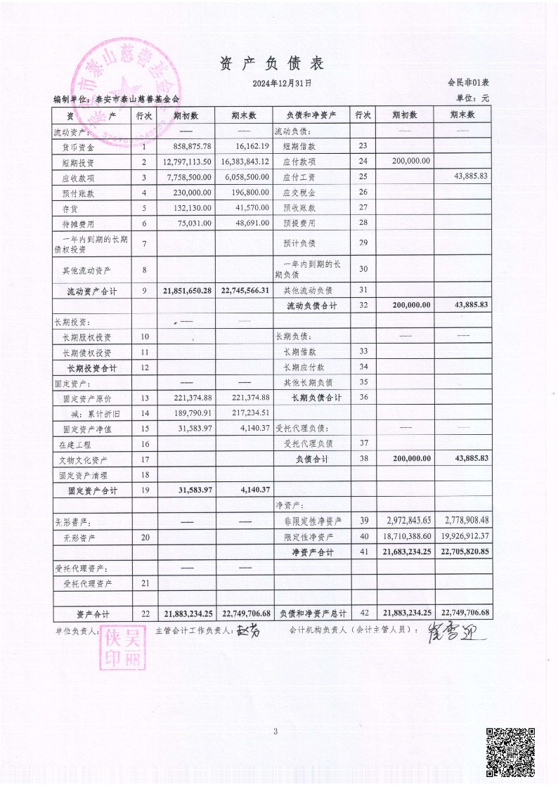 泰山慈善基金会2024年审计报告(图4)