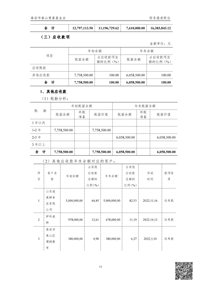 泰山慈善基金会2024年审计报告(图12)