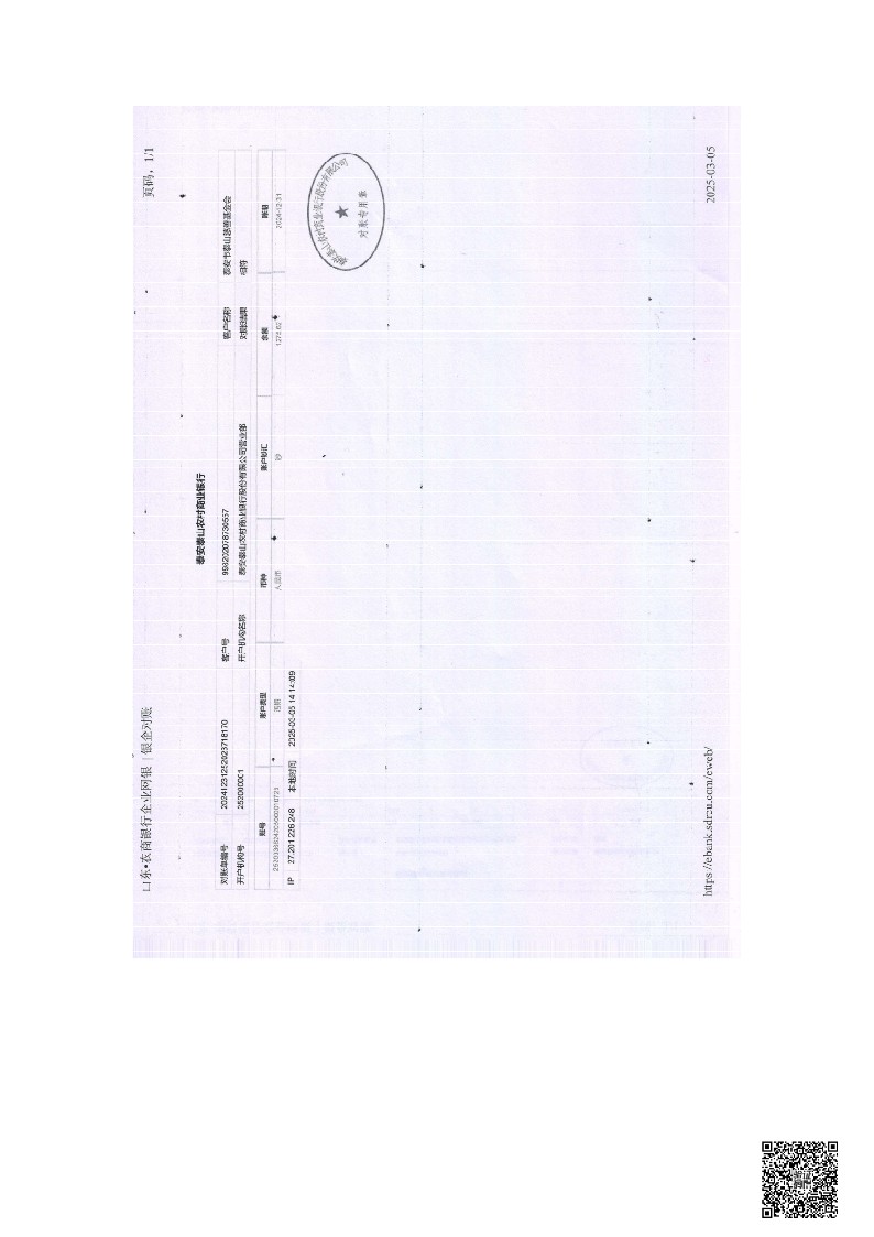 泰山慈善基金会2024年审计报告(图25)