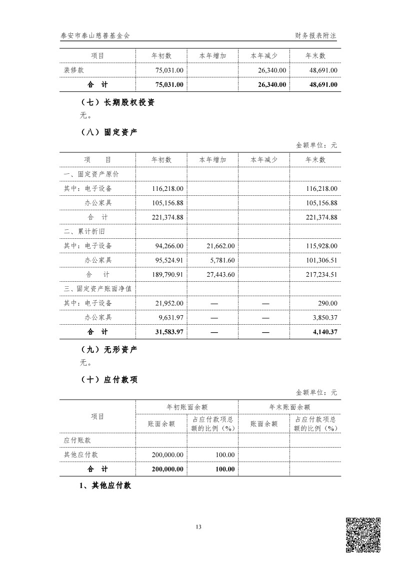 泰山慈善基金会2024年审计报告(图14)