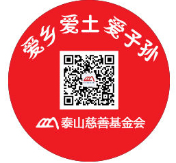 泰山慈善基金会获公益慈善项目竞赛奖励2万元(图4)