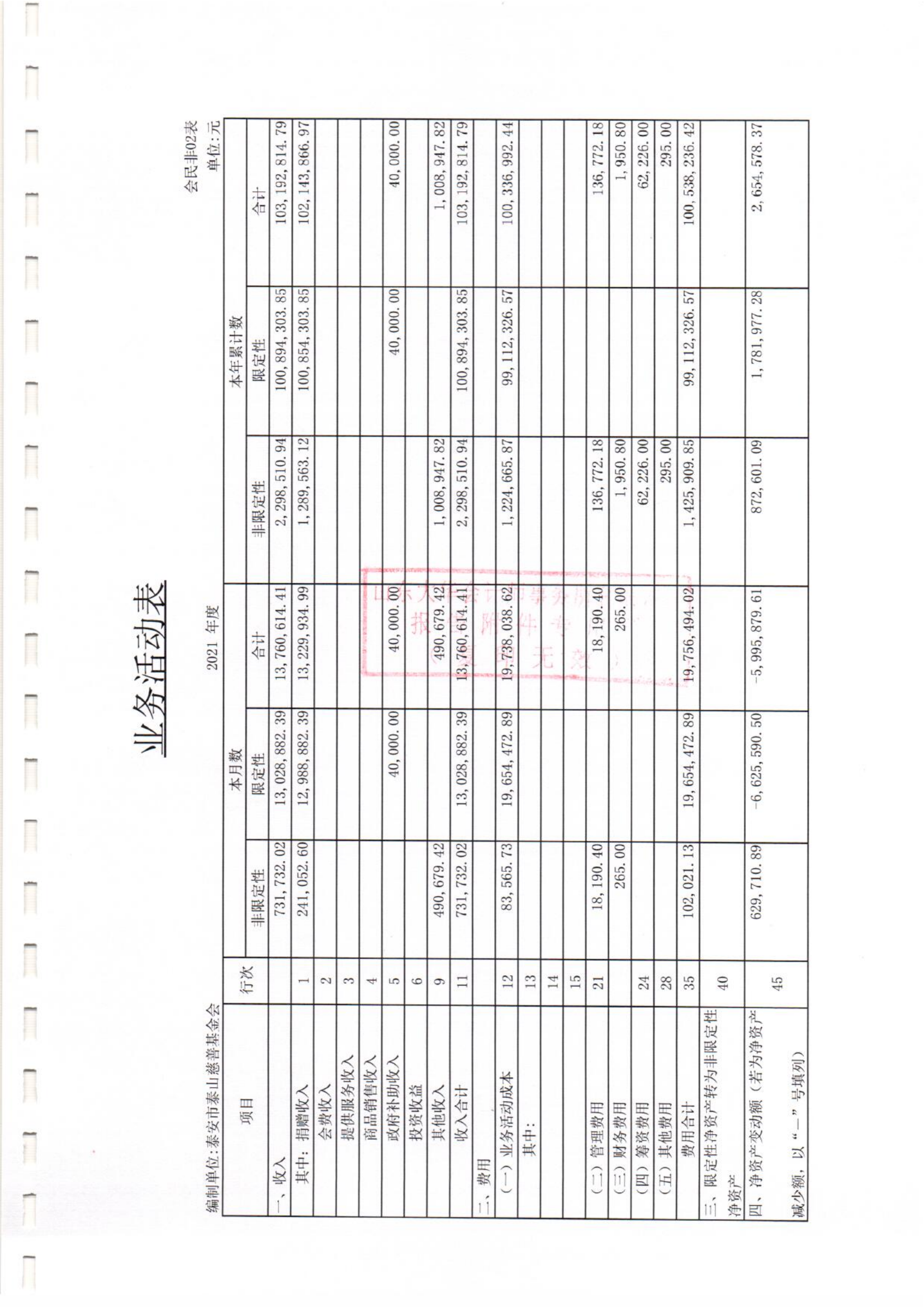 泰山慈善基金会2021年度审计报告(图6)